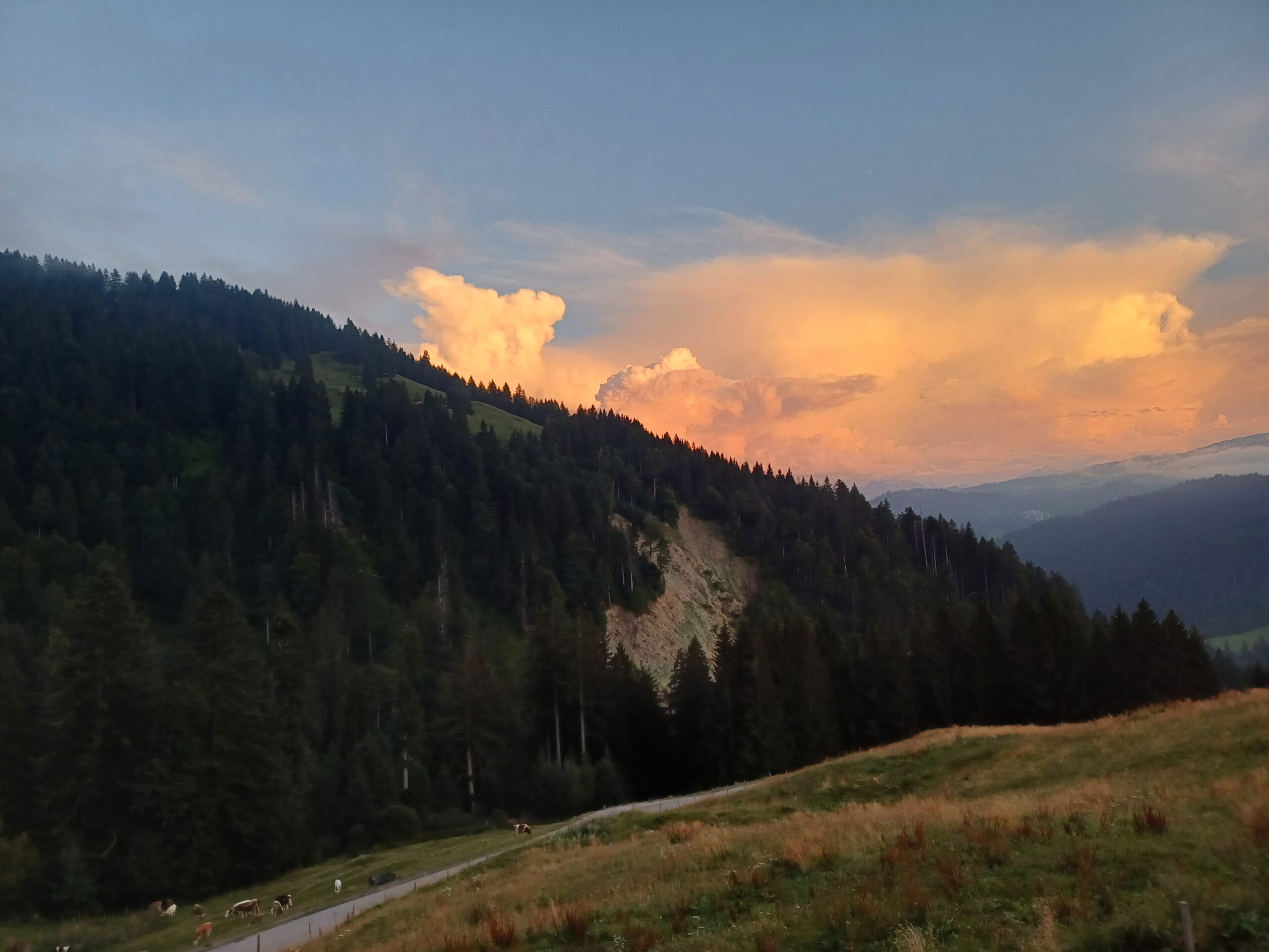 Hintergrundbild 